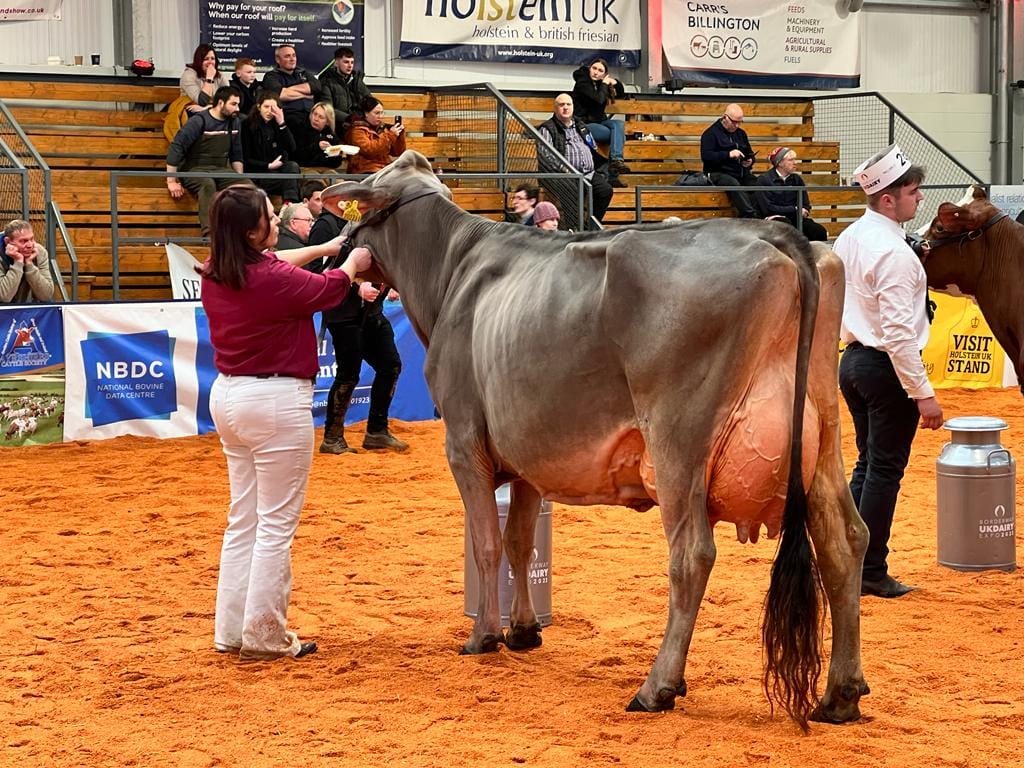 Uk Dairy Expo 2023 Results at Angela Macon blog